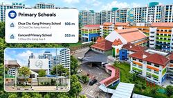 Blk 484D Choa Chu Kang Avenue 5 (Choa Chu Kang), HDB 5 Rooms #634549231